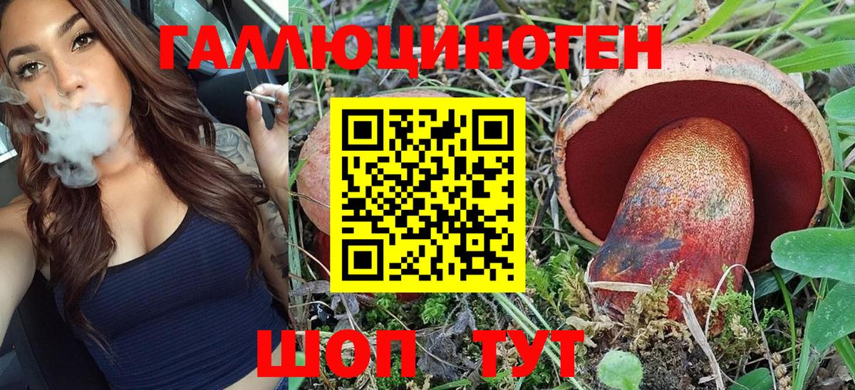 Галлюциногенные грибы Psilocybe  Вход с VPN  Туймазы  Псилоцибиновые грибы Cubensis 